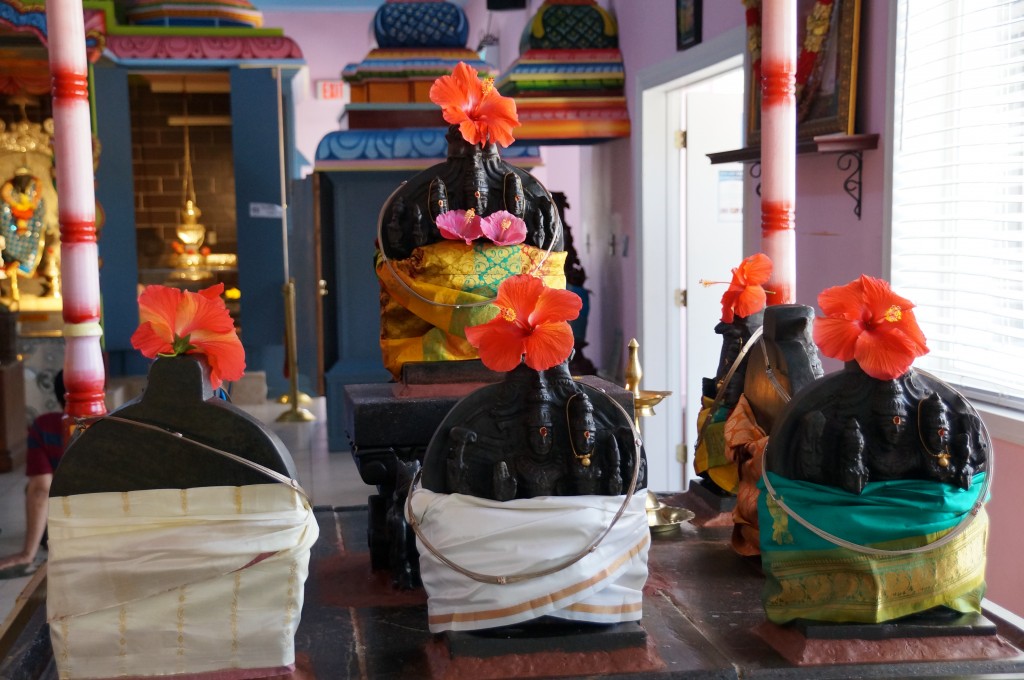 Navagrahas- Surya, Sukra, Budha